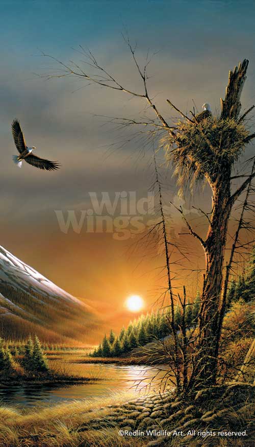 Nostalgic Wildlife Art - Framed Prints & Canvases – Wild Wings