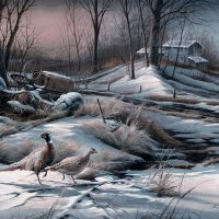 Rusty Refuge IV