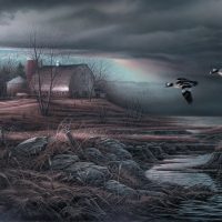 Stormy Weather