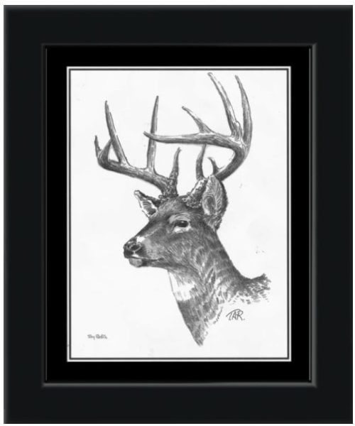Framed Whitetail Buck Pencil Sketch- Black Frame