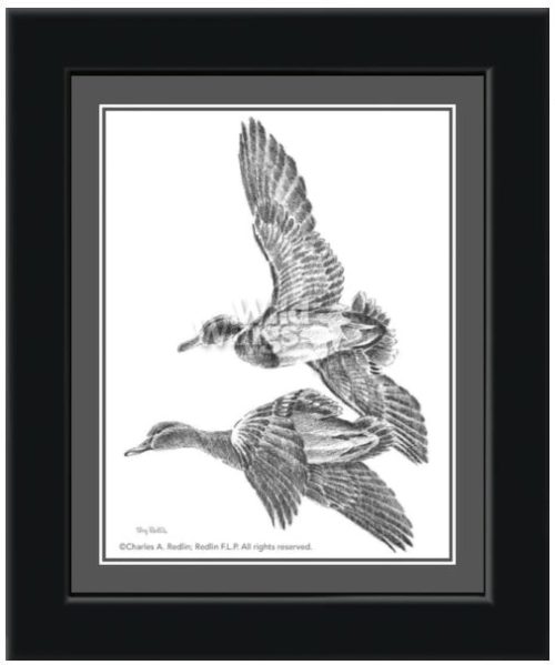 Framed Flying Mallards Sketch Print – Black Frame