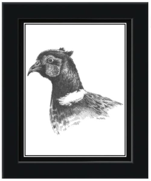 Framed Pheasant Sketch by Terry Redlin – Black Frame