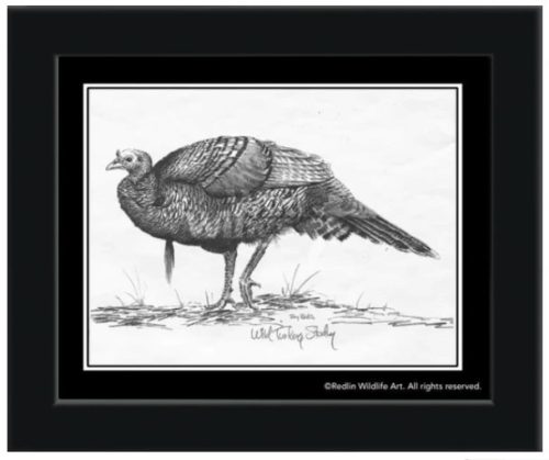 Framed Wild Turkey Study Pencil Sketch
